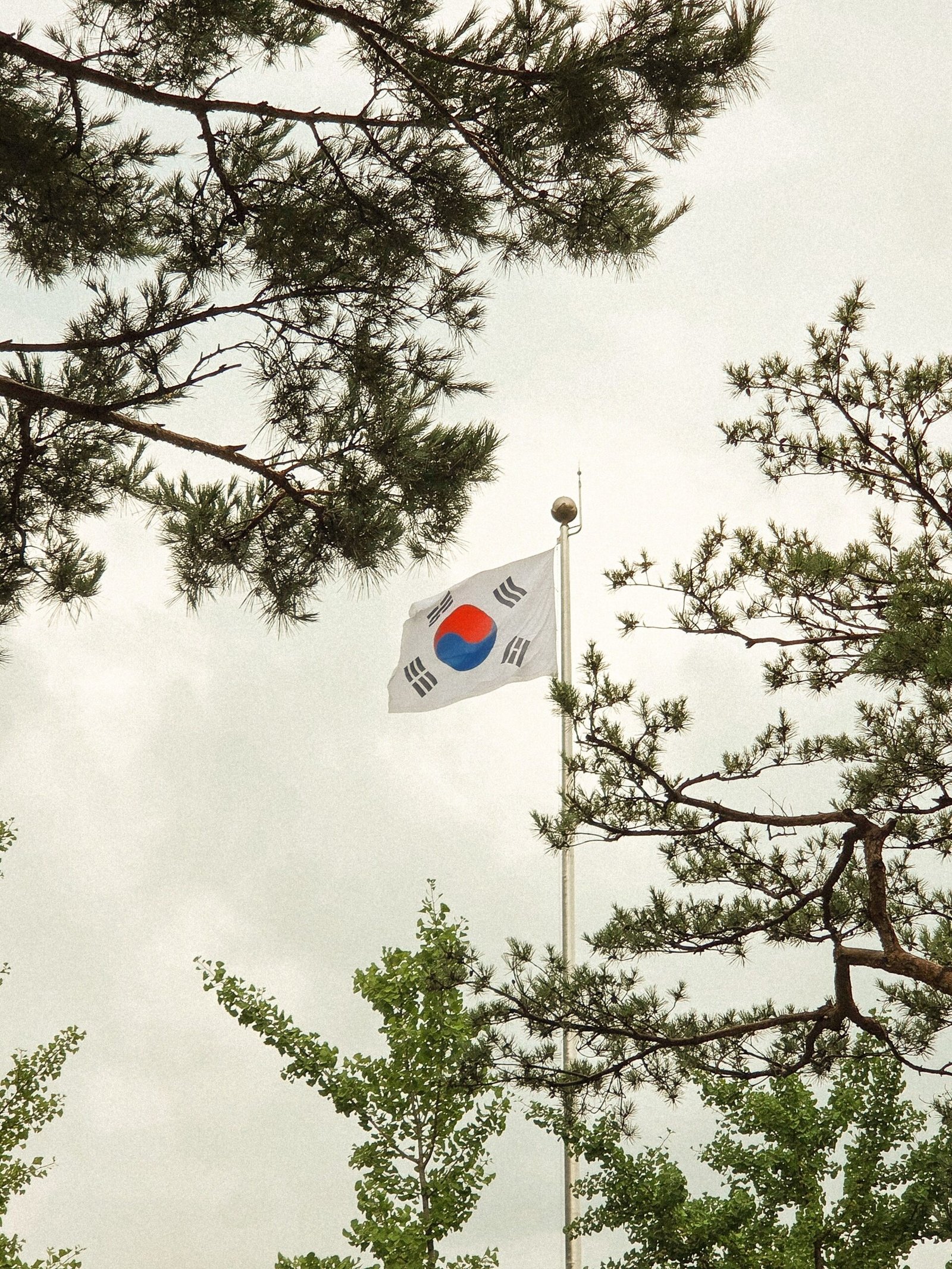 Study in South Korea